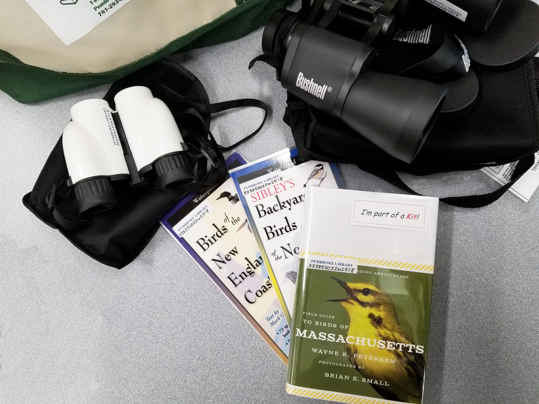 Picture of birdwatching kit with binoculars and bird books.