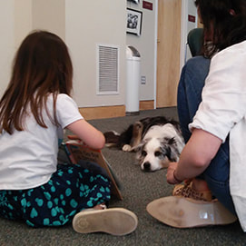 Child holds up a book in front of a dog, who is laying down on the floor with its eyes trained forward onto the page.